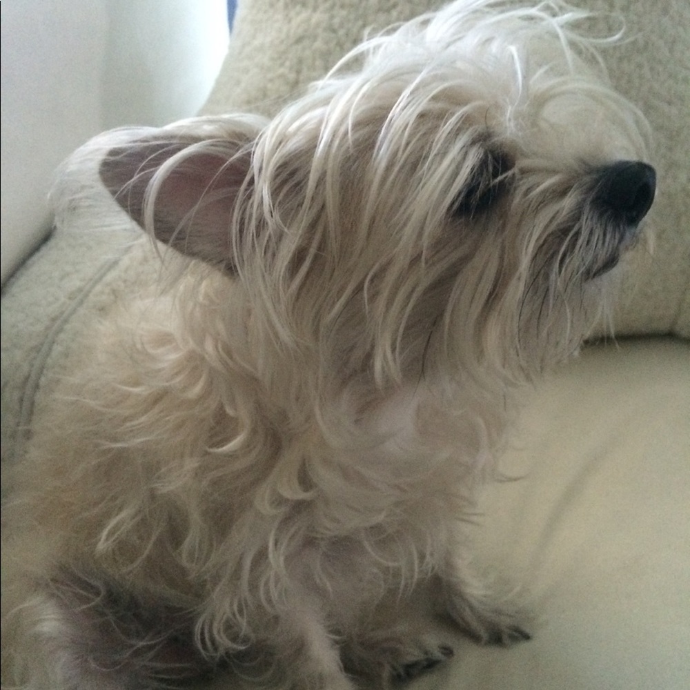 Meet your Posher, Hallie